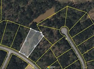 175 Gadson Dr, Fayetteville, GA 30214