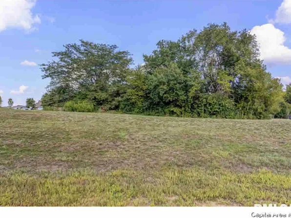 318 Ramblewood Dr, Chatham, IL 62629