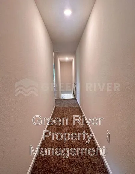 294 Aralia Ln — Photo 19