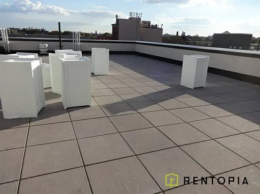 Rented by Rentopia | media 9