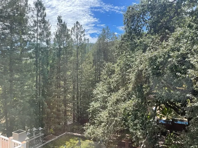 19500 Saratoga Los Gatos Rd — Photo 15