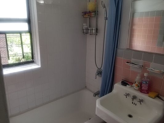 5th image of 2420 Morris Ave APT 5J