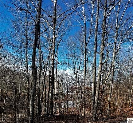 1st image of 36 Canton Ln #2