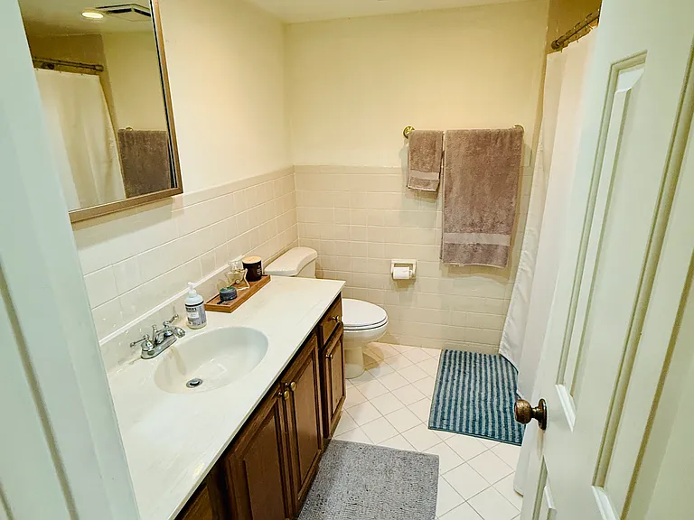 Hallway bathroom