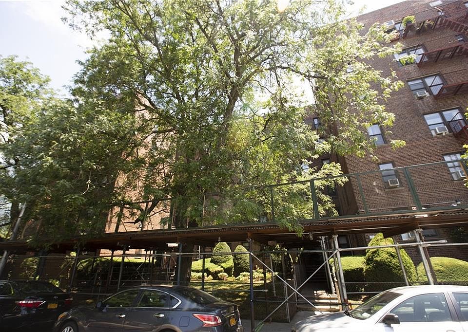 1st image of 1275 E 5th St APT 1G