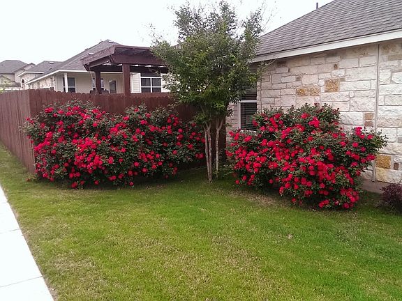 5th image of 1817 Golden Arrow Ave