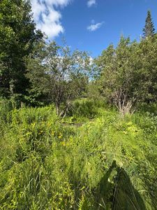 Partridge Lane, Danville, VT, 05828