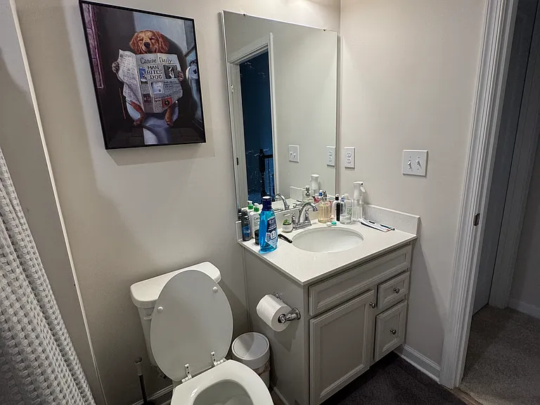 1201 May Apple Dr — Photo 11