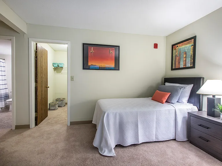 Closet and Bathroom In Bedroom