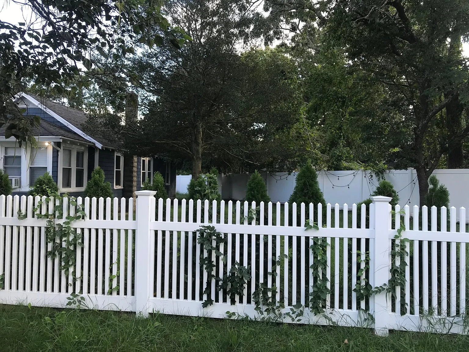 25 Pine St — Photo 3