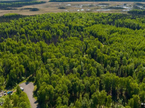 16016 E Greenleaf Dr, Talkeetna, AK 99676