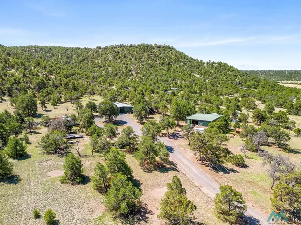 41 Canyon Rd, Quemado, NM 87829