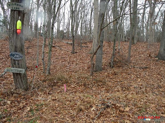 2nd image of 120 Diamond Ln