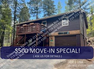507 Will Stutley Dr, Divide, CO 80814