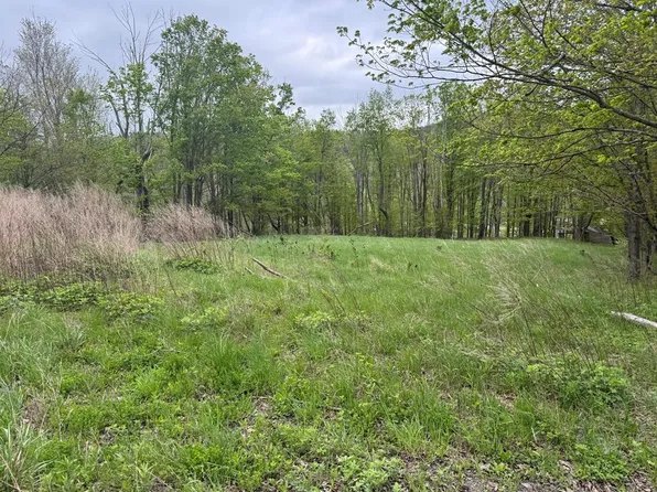 174 Burnett Ln, Gillett, PA 16925