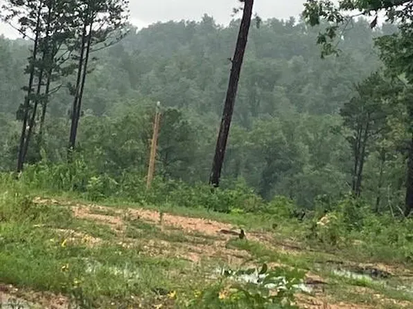 69 Madison St #410, Fredericktown, MO 63645