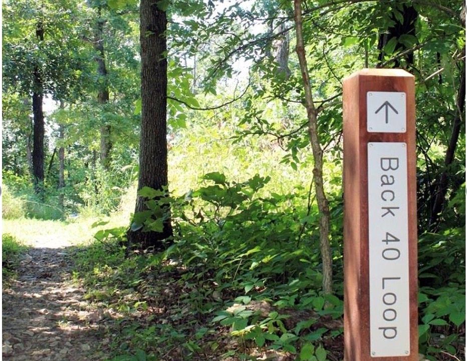 1st image of Clivenden Ln #9