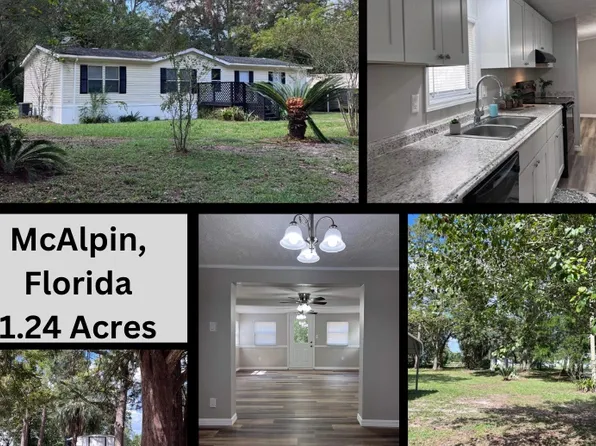 17087 99th Ln, Mc Alpin, FL 32062