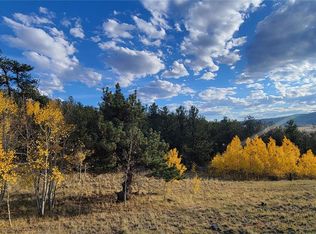 813 Yellowstone Rd #147, Hartsel, CO 80449