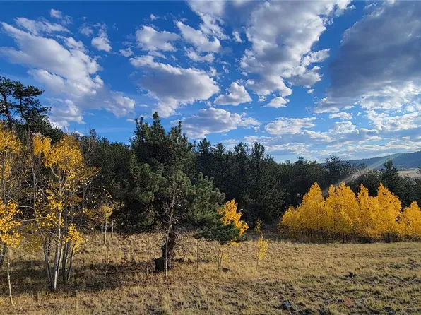 813 Yellowstone Road LOT 147, Hartsel, CO 80449