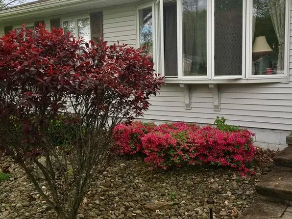 182 Shirley Ln, Warren, OH 44483