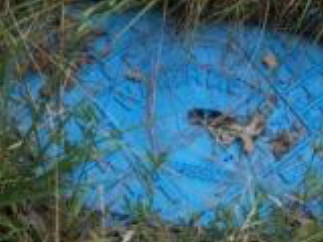 2nd image of 1243 White Hill Rd