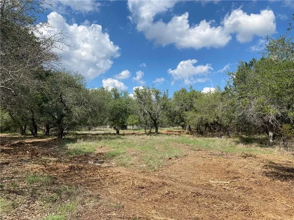 33400 Brooks Ranch Rd, Dripping Springs, TX 78620