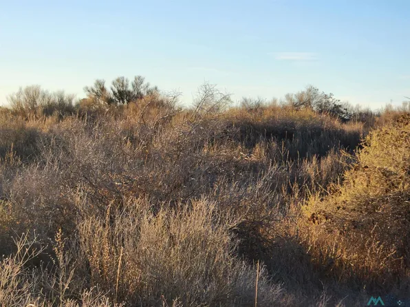 Sunshine Rd SE, Deming, NM 88030