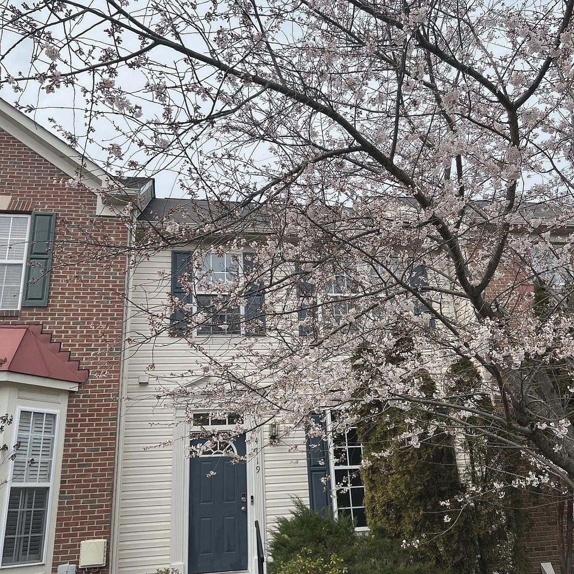 4719 Morning Glory Trl, Bowie, MD 20720 Zillow