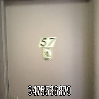 Rented by Edward Gugenheim, LREB | media 41