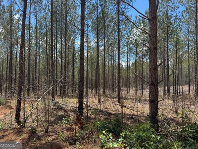 1 Lipham Rd, Franklin, GA, 30217