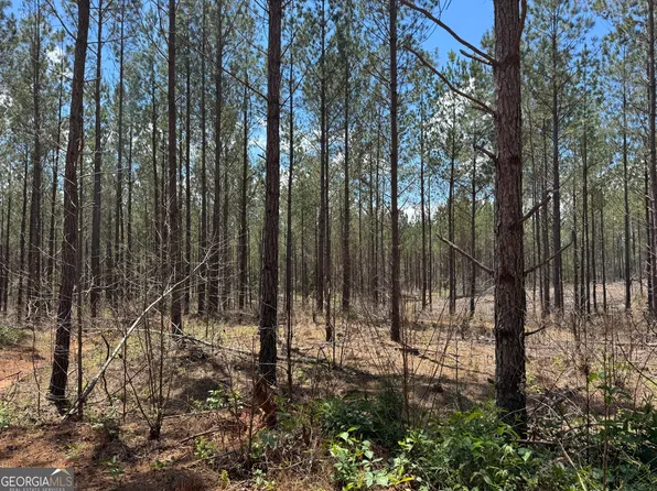 1 Lipham Rd, Franklin, GA 30217