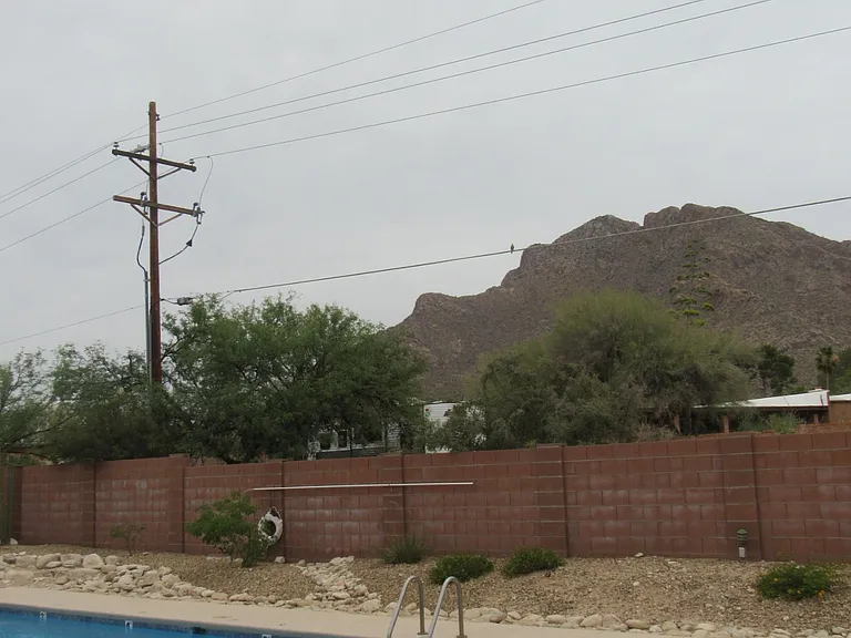 143 E Bowers Ct — Photo 35