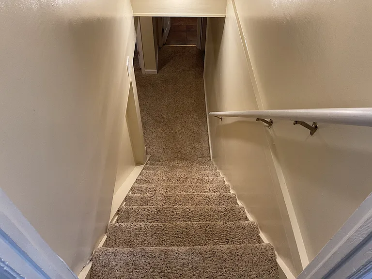 Carpeted Stairs to the lower level.