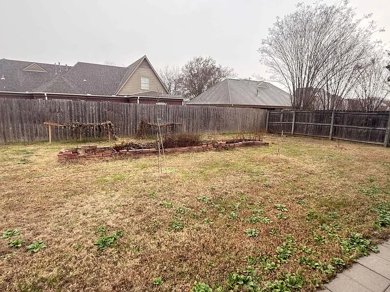 7831 Plantation Ridge Cv — Photo 8
