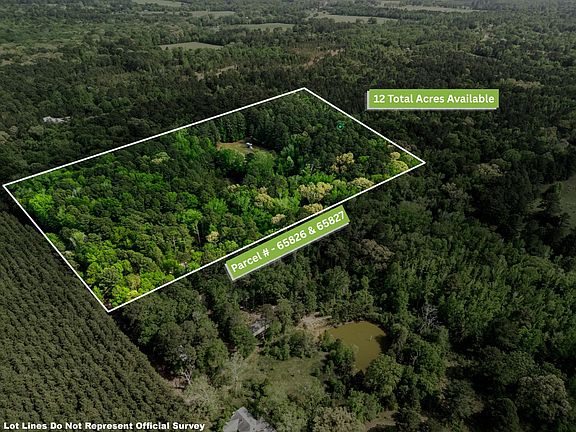 2nd image of Chinaberry Rd Tract 4