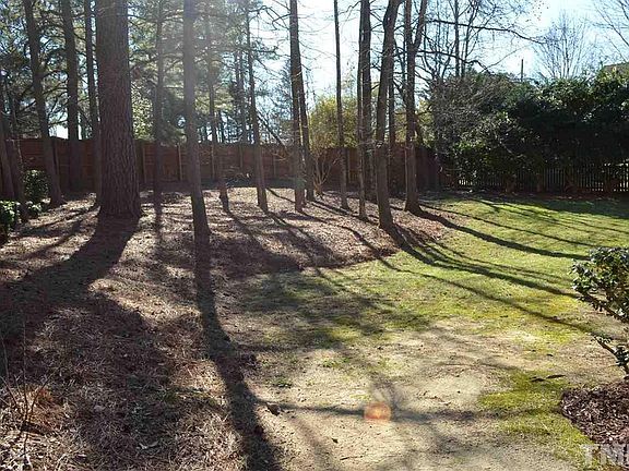 Partial Wooded Backyard
