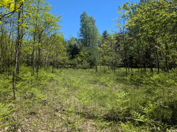 NULL-V/L Clements Rd, Kaleva, MI 49645