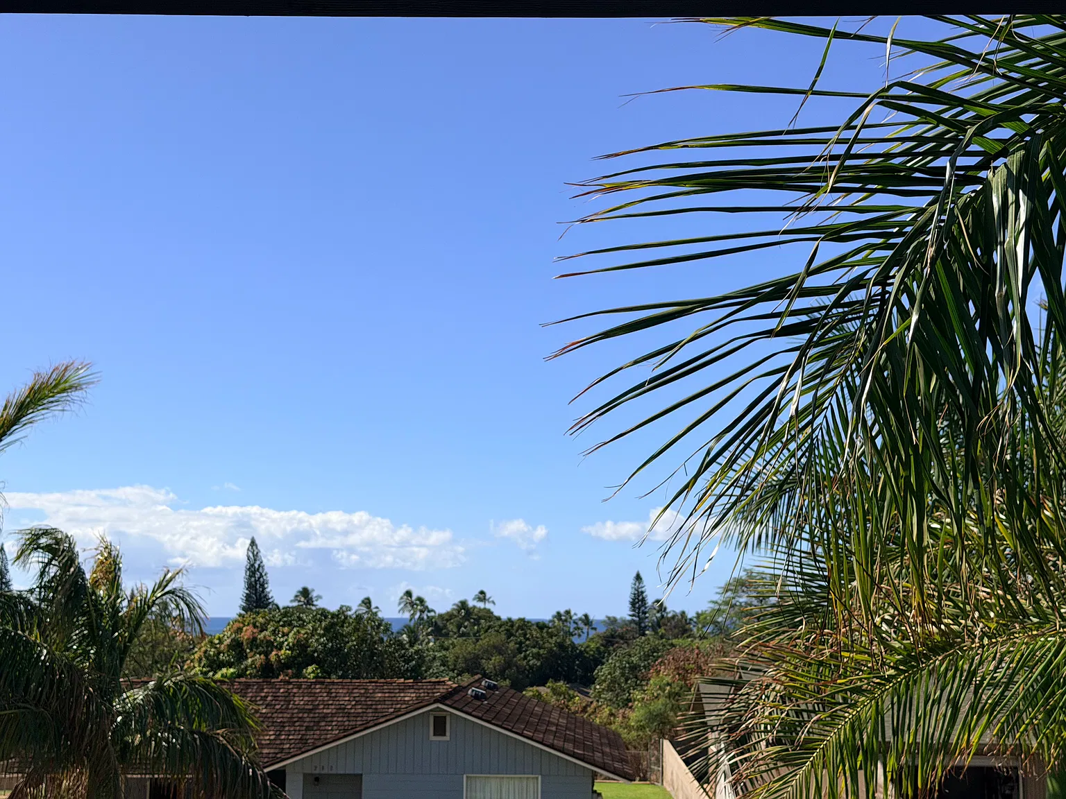 4 bed, 1740 sqft, $5,500 — Photo 2