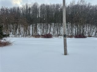 Buffalo St LOT 1, Wayland, NY 14572