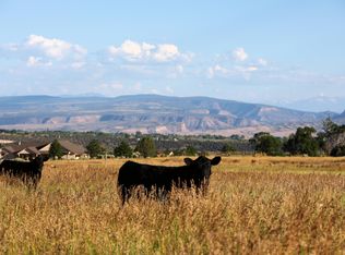 TBD Q25 Rd, Cedaredge, CO 81413