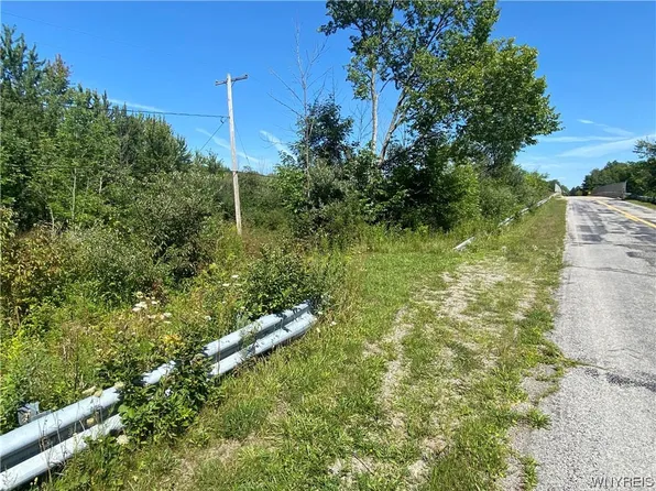 Gowans Rd, Angola, NY 14006