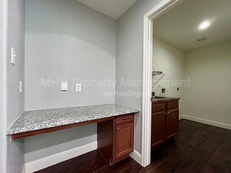8734 Snow Goose — Photo 14