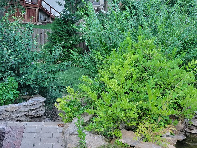 8009 Rosehill Rd — Photo 20