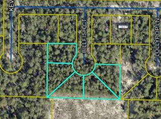 Billfish Ct, Defuniak Springs, FL 32433