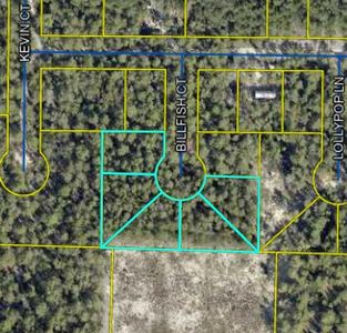Billfish Ct, Defuniak Springs, FL, 32433