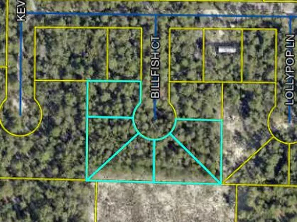 Billfish Ct, Defuniak Springs, FL 32433