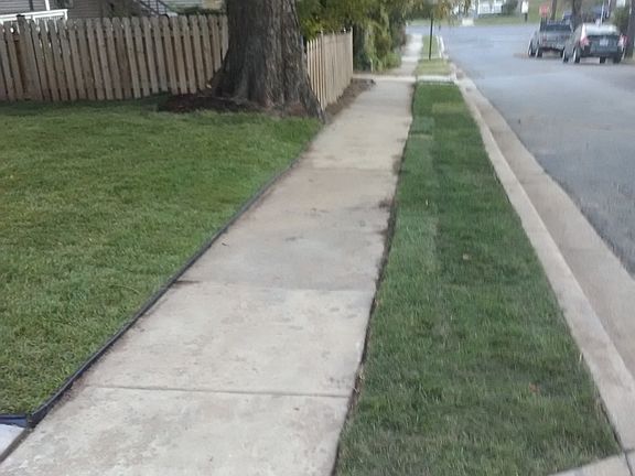 New fronts cape, grass