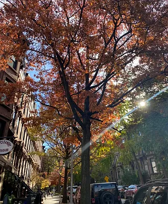 Rented by Harriet Brand, LREB | media 29