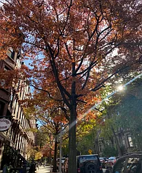 Rented by Harriet Brand, LREB